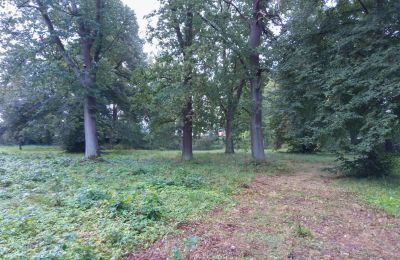 Historisk park til salg Iłowa, Kolejowa 11, województwo lubuskie, Billede 5/17