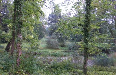 Historisk park til salg Iłowa, Kolejowa 11, województwo lubuskie, Billede 6/17