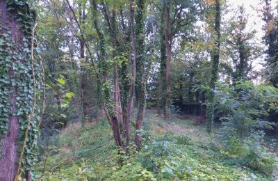 Historisk park til salg Iłowa, Kolejowa 11, województwo lubuskie, Billede 7/17