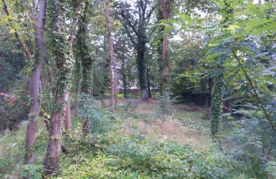 Historisk park til salg Iłowa, Kolejowa 11, województwo lubuskie, Billede 9/17