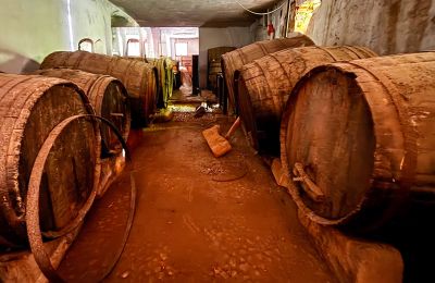 Bypalæ til salg Ribera, Roma 37, Sicilia, Vinkælder