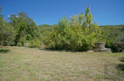 Mühle kaufen Cortona, strada provinciale 34, Toskana, Foto 11/35