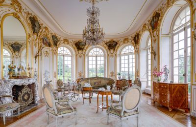 Slott till salu Abbeville, Hauts-de-France, Salong