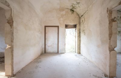Landsted til salgs Manduria, Via per Lecce km 2, Puglia, Bilde 11/31
