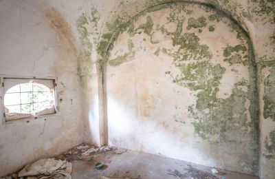 Landsted til salgs Manduria, Via per Lecce km 2, Puglia, Bilde 15/31