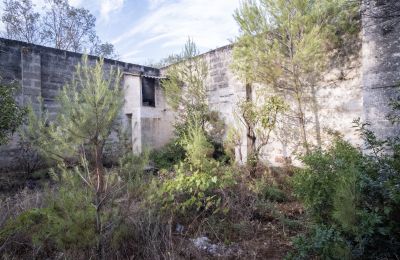 Landsted til salgs Manduria, Via per Lecce km 2, Puglia, Bilde 19/31