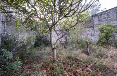 Landsted til salgs Manduria, Via per Lecce km 2, Puglia, Bilde 20/31