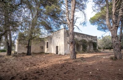 Landsted til salgs Manduria, Via per Lecce km 2, Puglia, Bilde 24/31