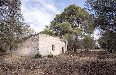 Landsted til salgs Manduria, Via per Lecce km 2, Puglia, Bilde 25/31