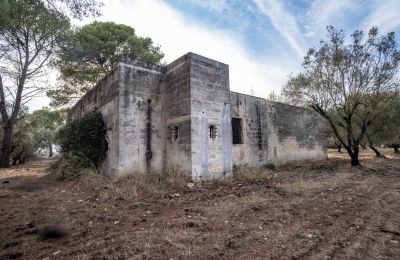 Landsted til salgs Manduria, Via per Lecce km 2, Puglia, Bilde 26/31