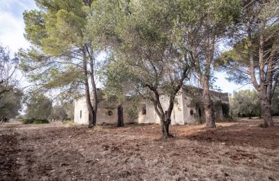 Landsted til salgs Manduria, Via per Lecce km 2, Puglia, Bilde 27/31