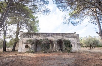 Landsted til salgs Manduria, Via per Lecce km 2, Puglia, Bilde 30/31