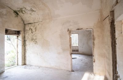 Landsted til salgs Manduria, Via per Lecce km 2, Puglia, Bilde 5/31