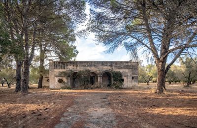 Landsted til salgs Manduria, Via per Lecce km 2, Puglia, Foranvisning