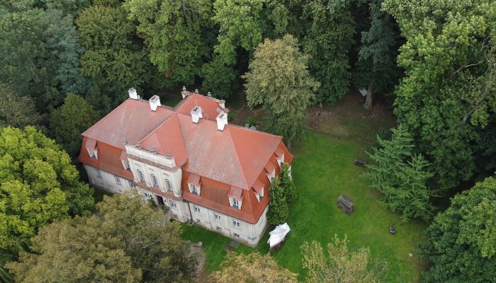 Herregård til salgs Popowo Stare, województwo wielkopolskie,  Polen