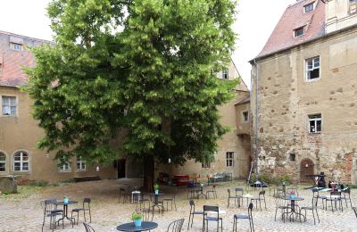 Slott til salgs Mühlberg/Elbe, Schlossplatz 1, Brandenburg, Bilde 8/20