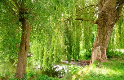 Mølle til salg 29451 Dannenberg, Niedersachsen, Billede 17/20