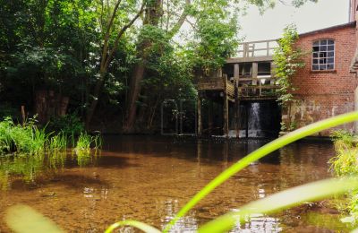 Mølle til salg 29451 Dannenberg, Niedersachsen, Billede 19/20