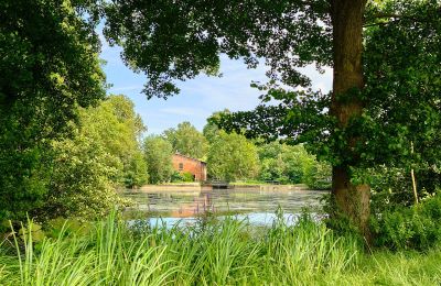 Historische Immobilien, Neue Alte Wassermühle