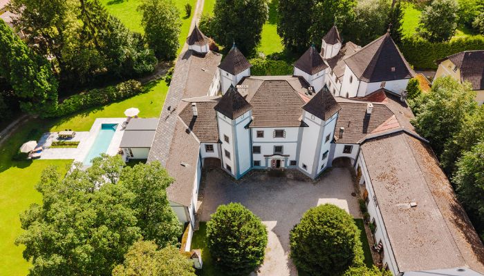 Slot til salg 4693 Desselbrunn, Øvre Østrig