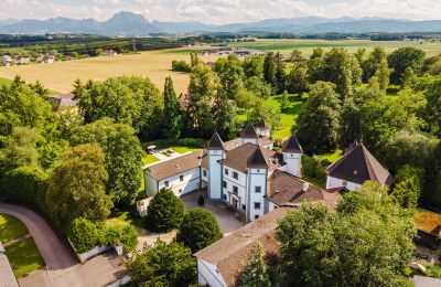 Slott 4693 Desselbrunn, Oberösterreich