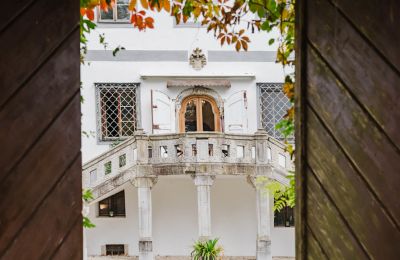 Slott till salu 4693 Desselbrunn, Øvre Østerrike, Märchenhafter Blick