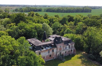 Slott till salu Komorowice, Wrocławska 27, województwo dolnośląskie, Bild 2/29