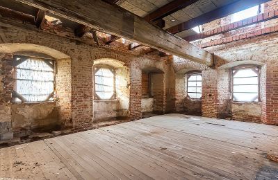 Slott till salu Komorowice, Wrocławska 27, województwo dolnośląskie, Bild 8/29