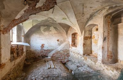 Slott till salu Komorowice, Wrocławska 27, województwo dolnośląskie, Bild 10/29