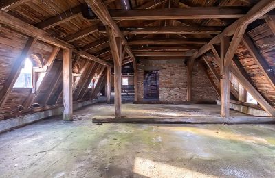 Slott till salu Komorowice, Wrocławska 27, województwo dolnośląskie, Bild 11/29