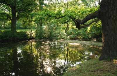 Slott till salu Komorowice, Wrocławska 27, województwo dolnośląskie, Bild 21/29