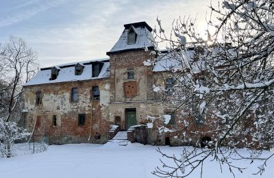 Schloss kaufen Komorowice, Wrocławska 27, Niederschlesien, Foto 21/27