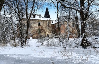Schloss kaufen Komorowice, Wrocławska 27, Niederschlesien, Foto 24/27