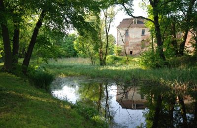 Schloss kaufen Komorowice, Wrocławska 27, Niederschlesien, Park