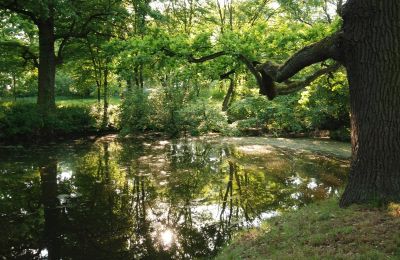 Schloss kaufen Komorowice, Wrocławska 27, Niederschlesien, Foto 15/27