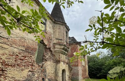 Schloss kaufen Komorowice, Wrocławska 27, Niederschlesien, Foto 3/27