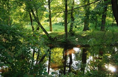 Schloss kaufen Komorowice, Wrocławska 27, Niederschlesien, Foto 18/27