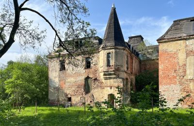 Schloss kaufen Komorowice, Wrocławska 27, Niederschlesien, Foto 4/27
