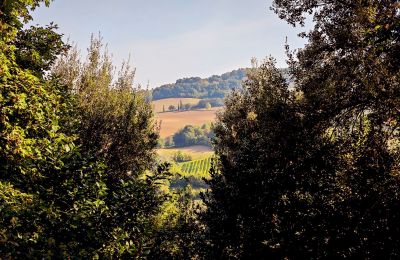 Landhus til salg 40060 Dozza, Ferraruola  1, Emilia-Romagna, Udsigt