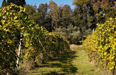 Landhus til salg 40060 Dozza, Ferraruola  1, Emilia-Romagna, Billede 18/26