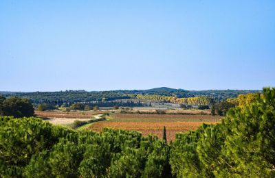 Borg til salgs Pouzilhac, Occitanie, Bilde 43/43