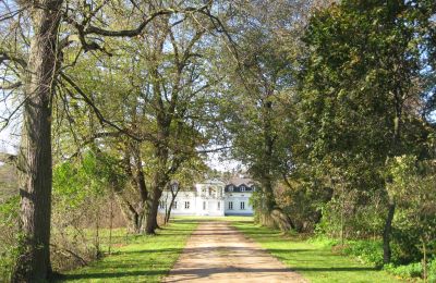 Herregård til salg Mołomotki-Dwór, województwo mazowieckie, Billede 6/16