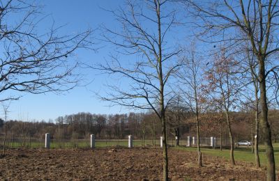 Herregård til salg Mołomotki-Dwór, województwo mazowieckie, ogrodzenie