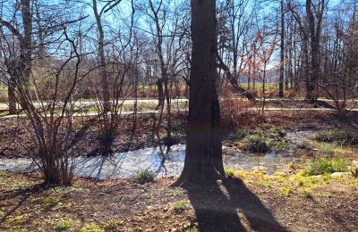 Schloss kaufen Bystrzyca Dolna, Niederschlesien, Foto 9/9