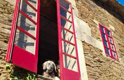 Herrgård till salu Galicien, Bild 10/48