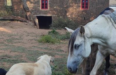 Herrgård till salu Galicien, Bild 13/48