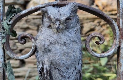 Herrgård till salu Galicien, Bild 30/48