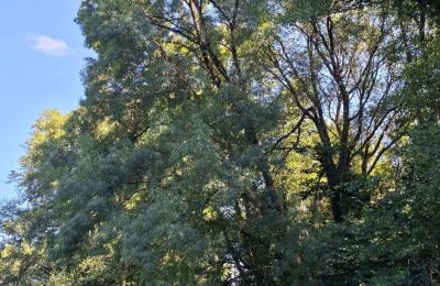 Herrgård till salu Galicien, Bild 32/48