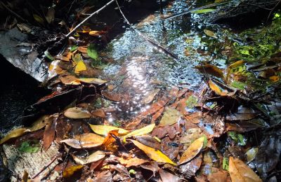 Herrgård till salu Galicien, Bild 33/48