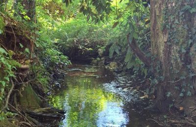 Herrgård till salu Galicien, Bild 35/48